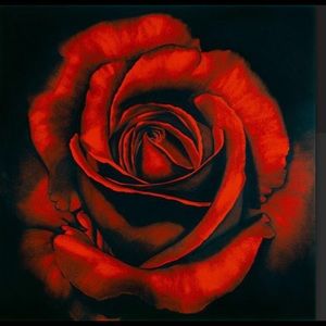 Meet your Posher, Amethyst